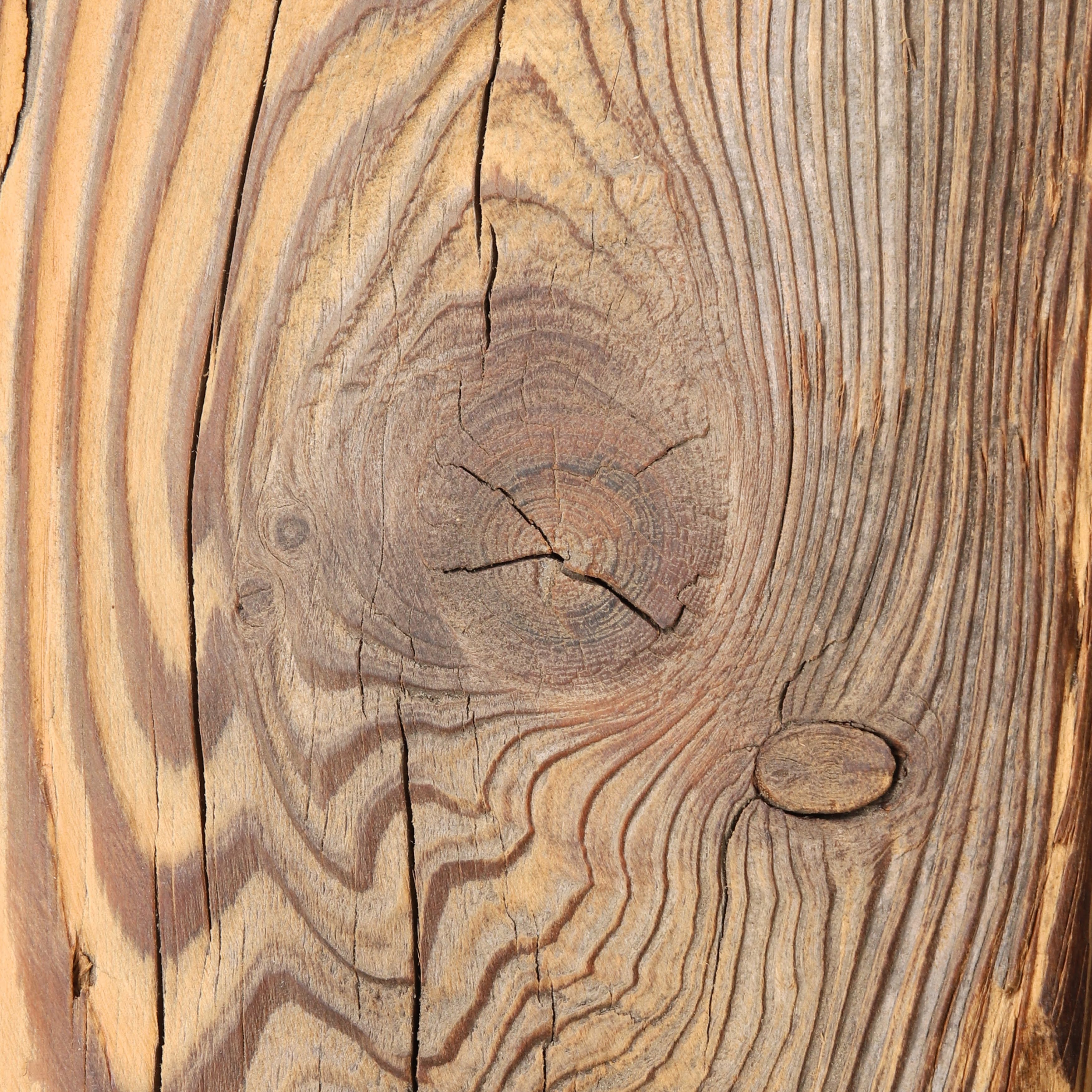 KOBOKU SCULPTURE - KS_S025P