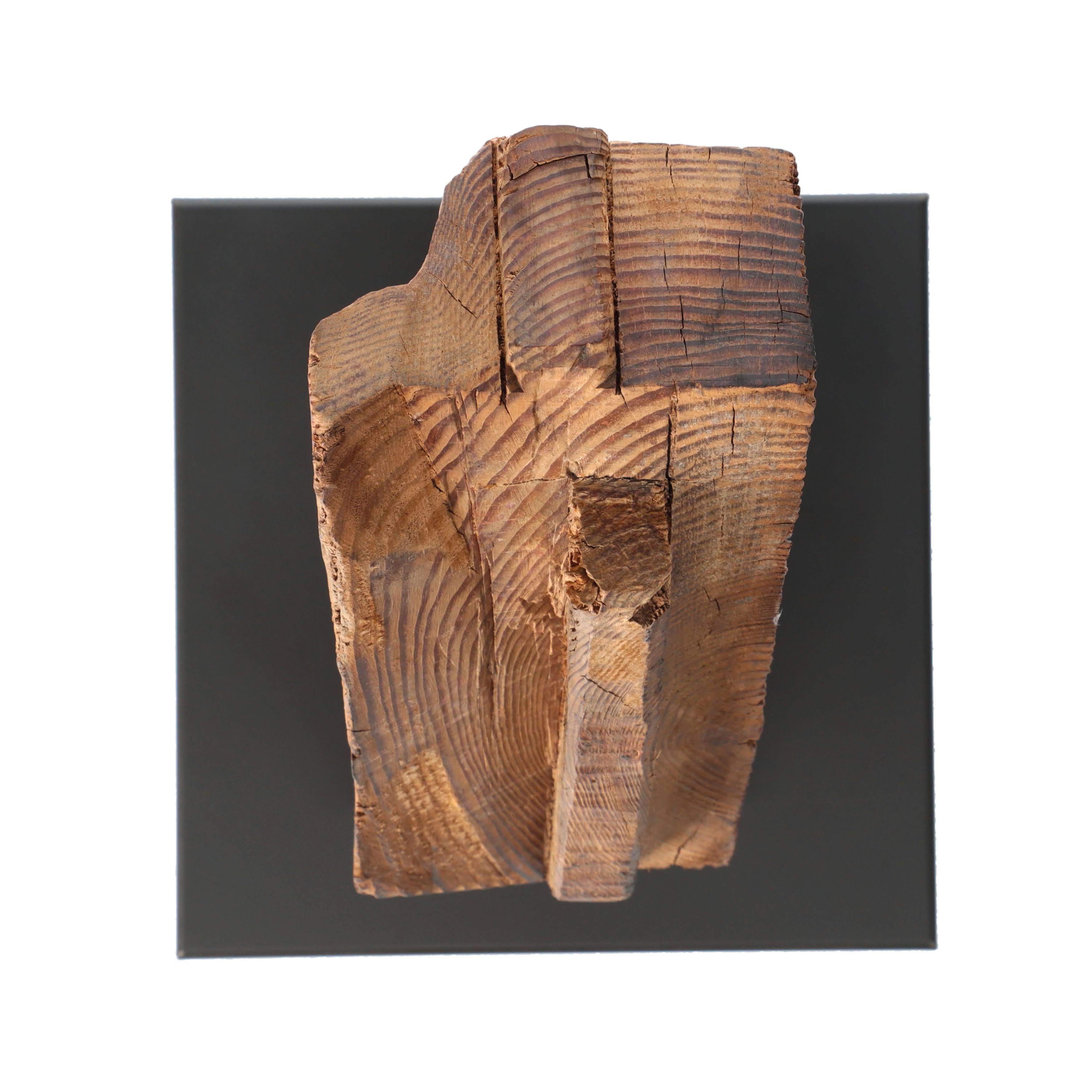 KOBOKU SCULPTURE - KS_S007P