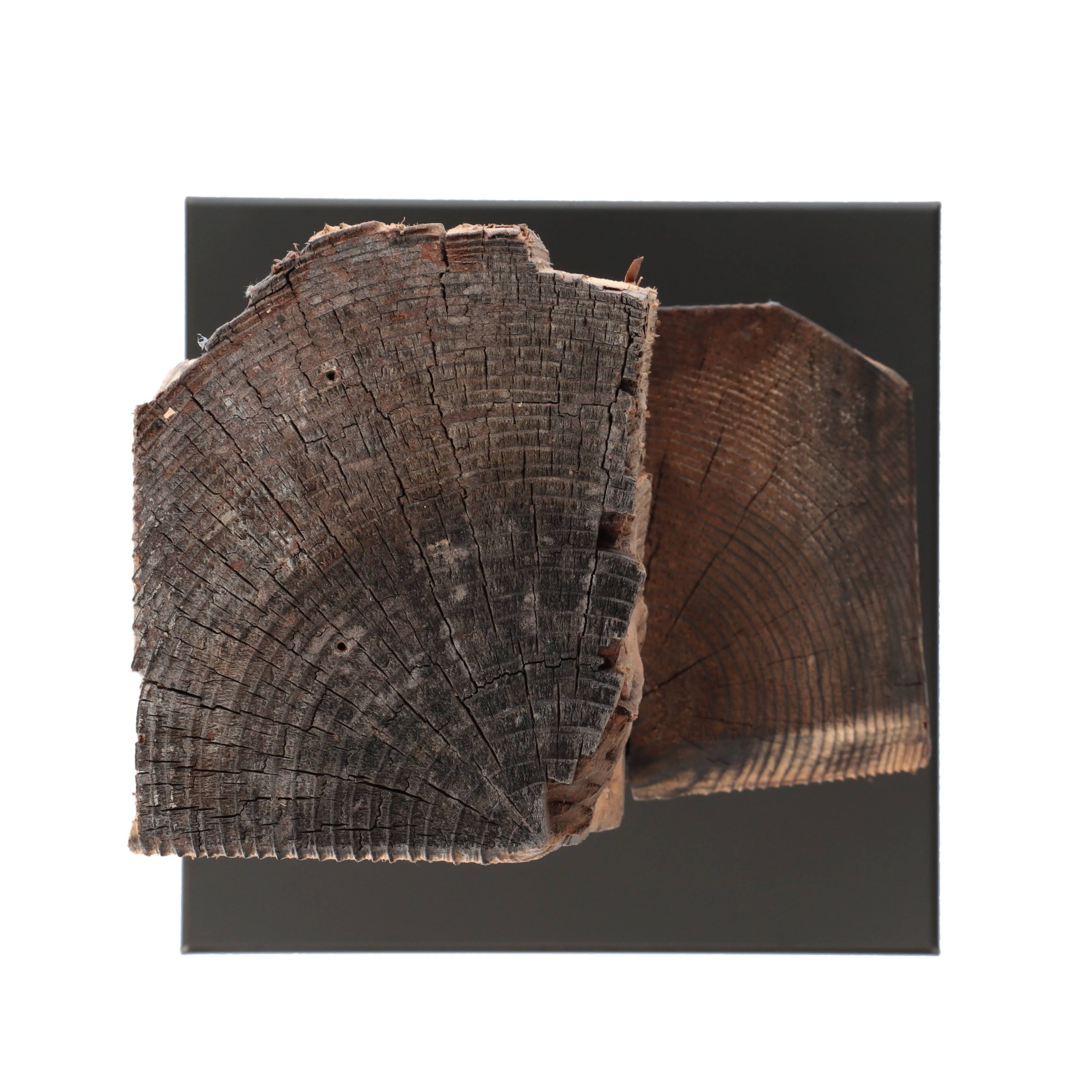 KOBOKU SCULPTURE - KS_L015P