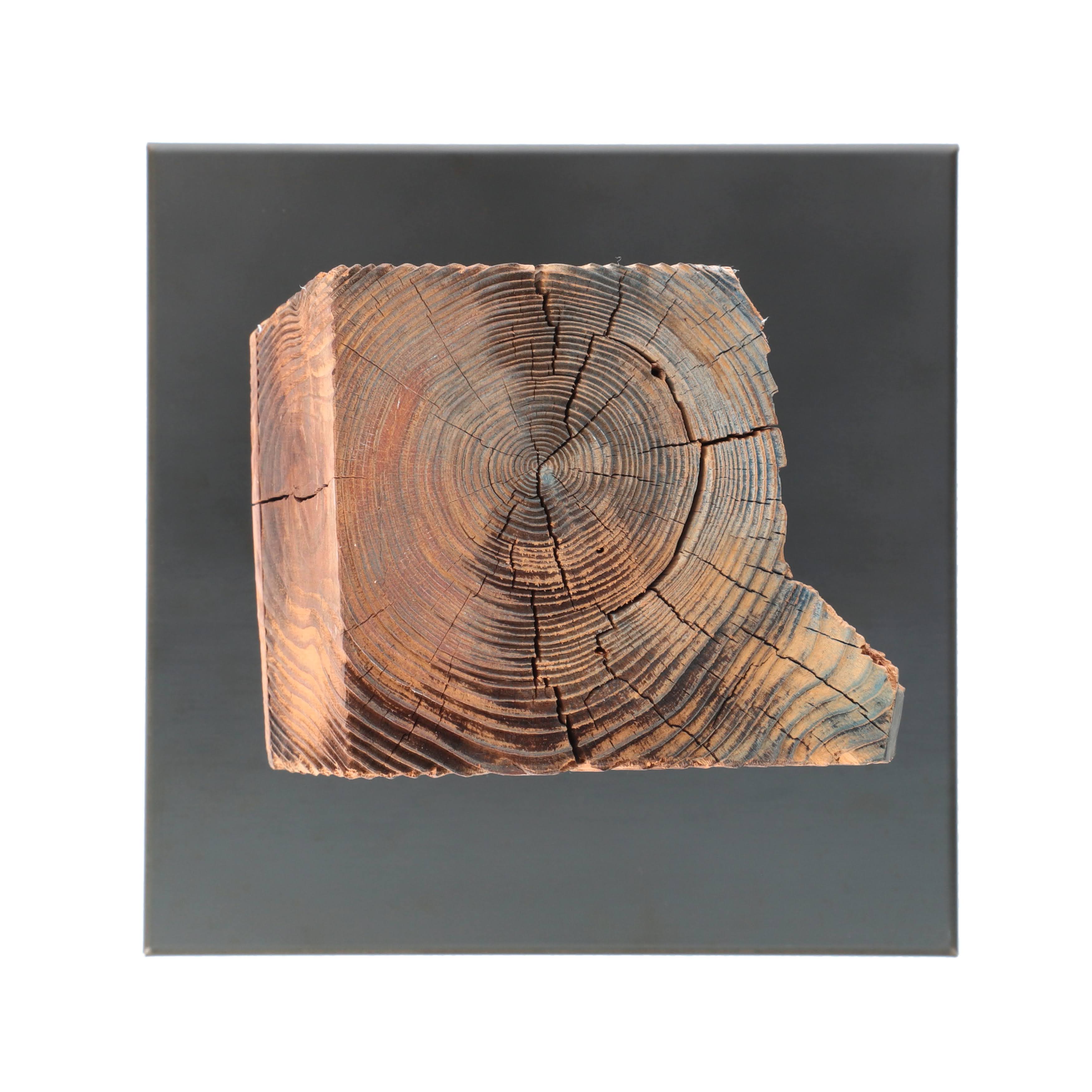 KOBOKU SCULPTURE - KS_S011P