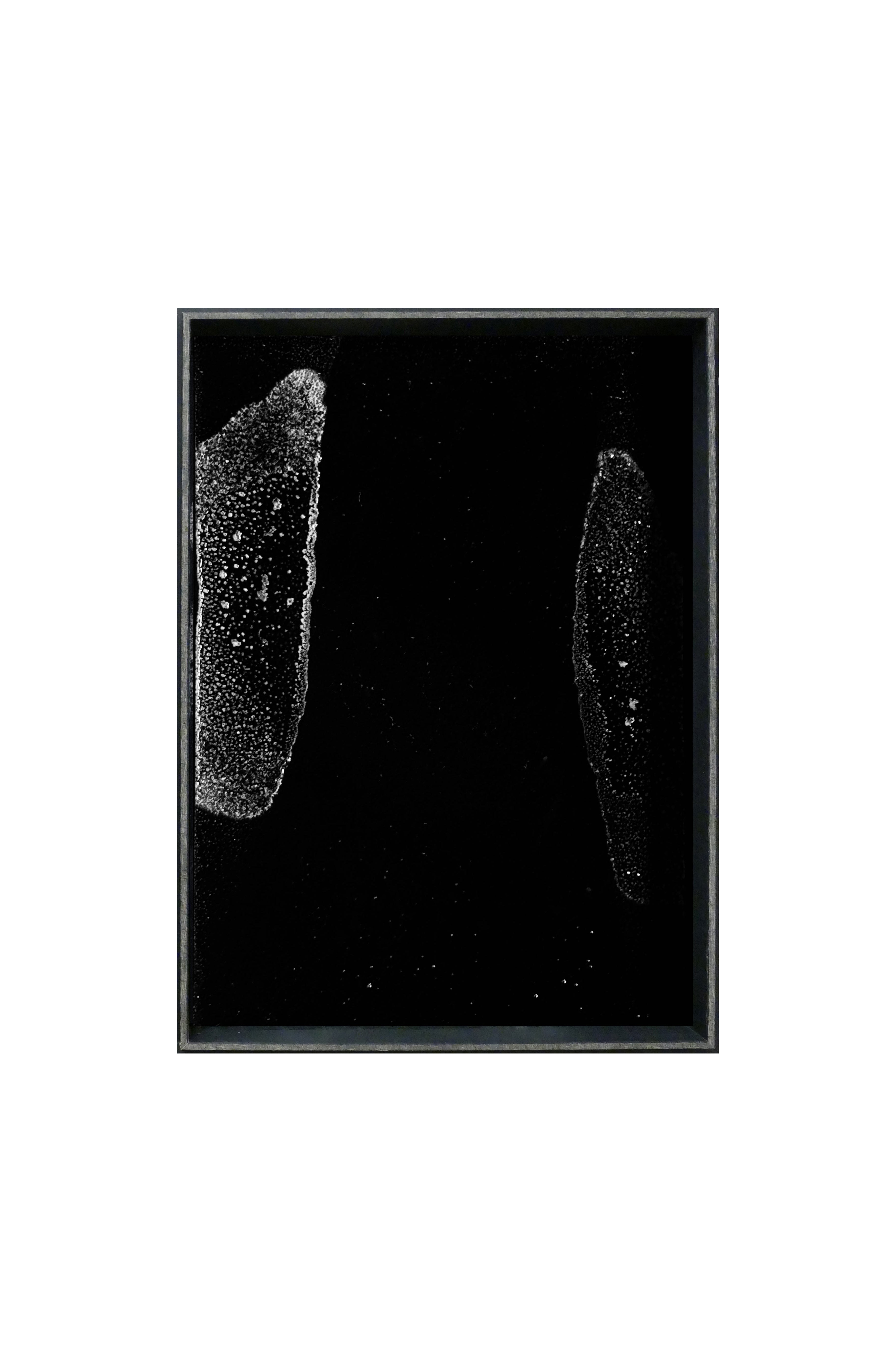 NaCl - JARDINS SALANTS - 001 - PAINTING