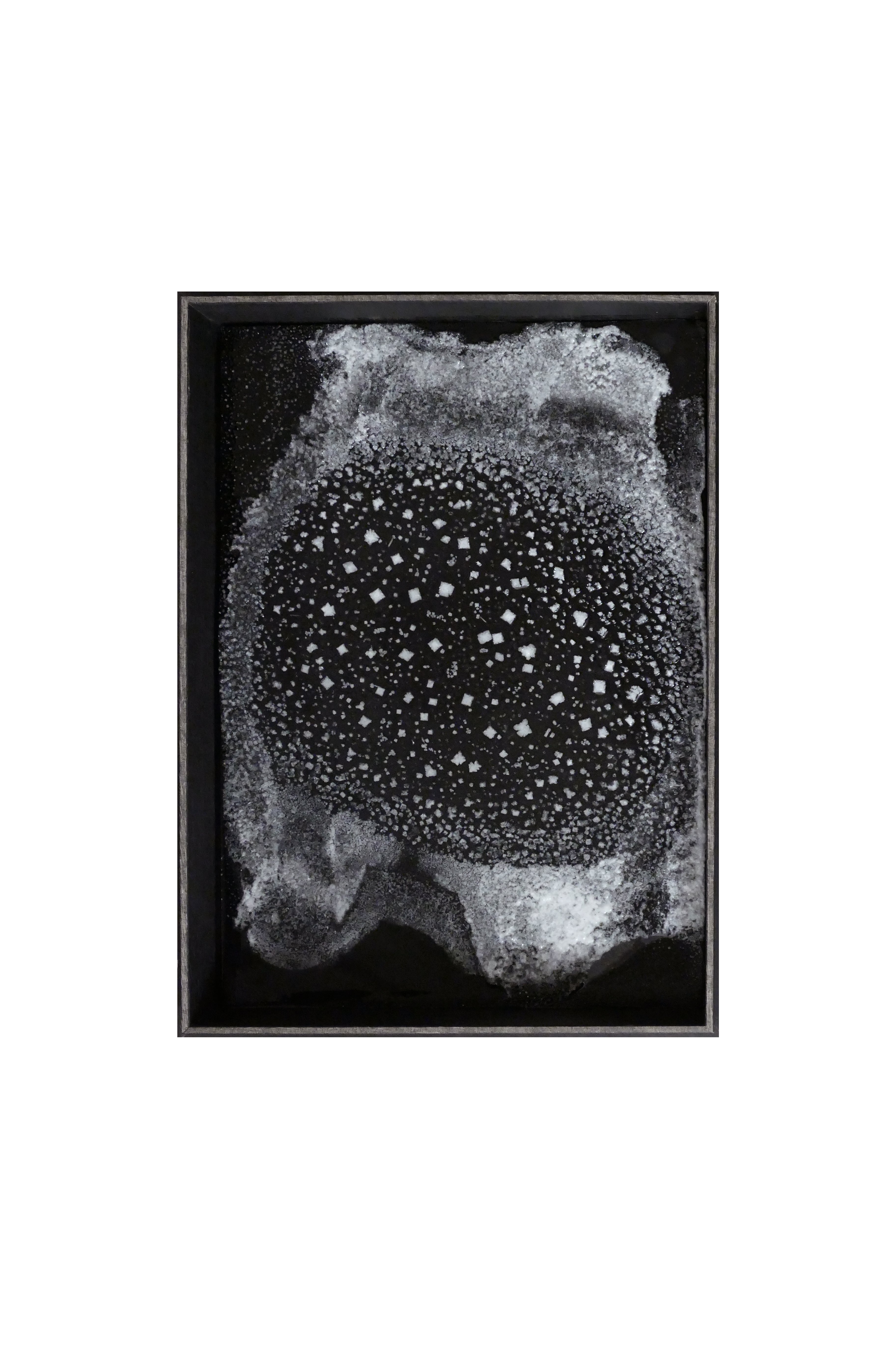 NaCl - JARDINS SALANTS - 003 - PAINTING