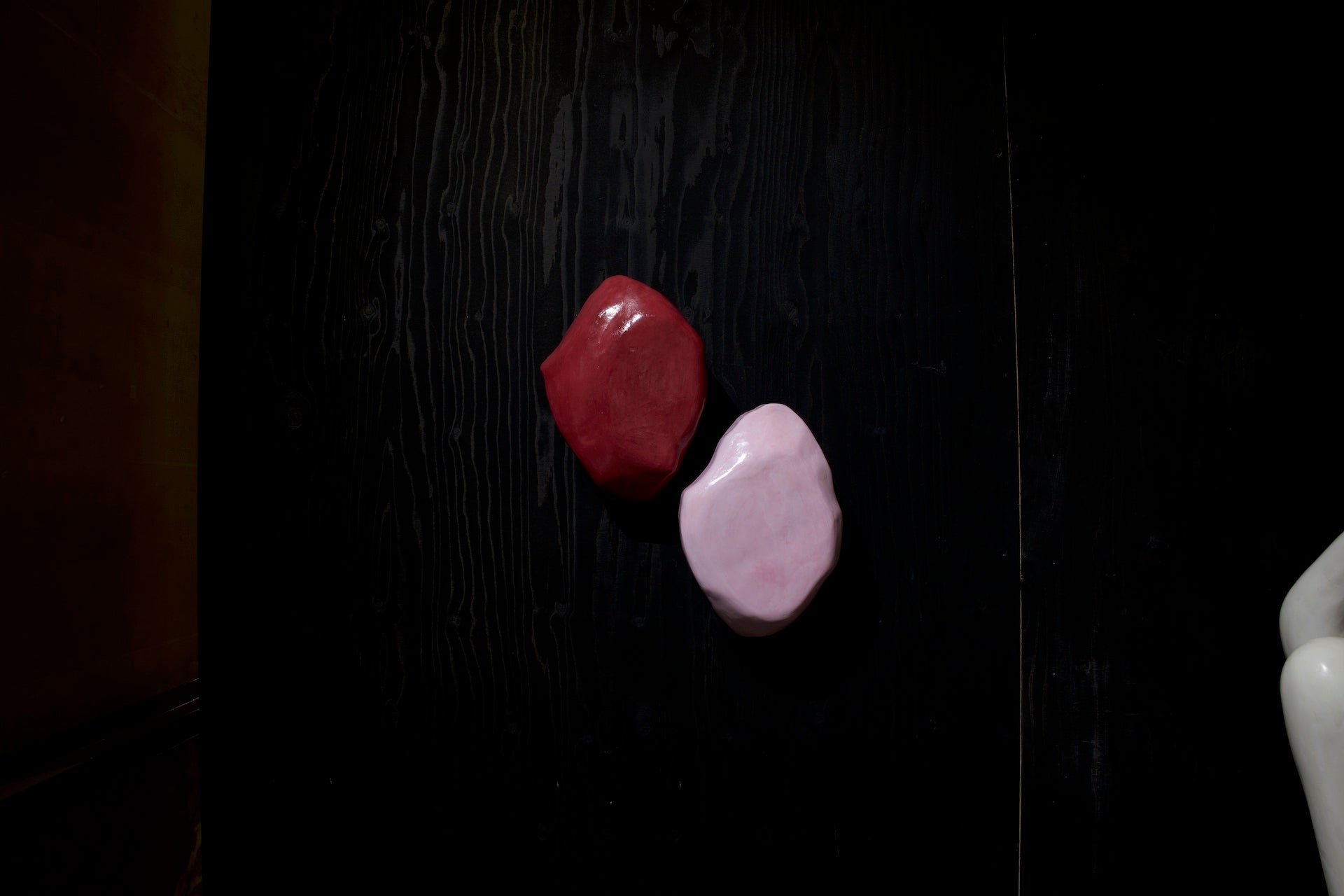 FORME VIVANTE - 3 - WALL PIECE