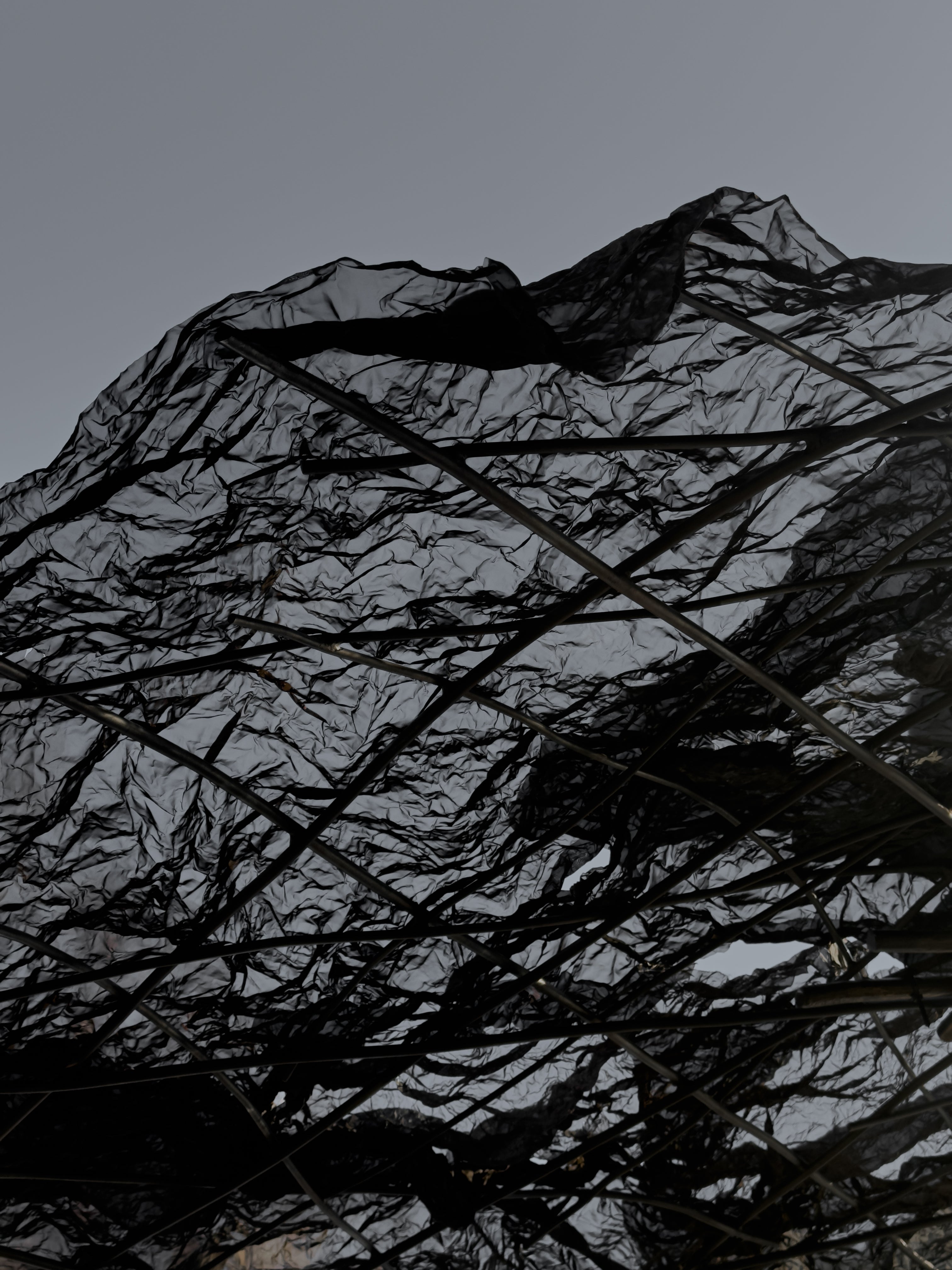 EDITION 25 - PARASOL