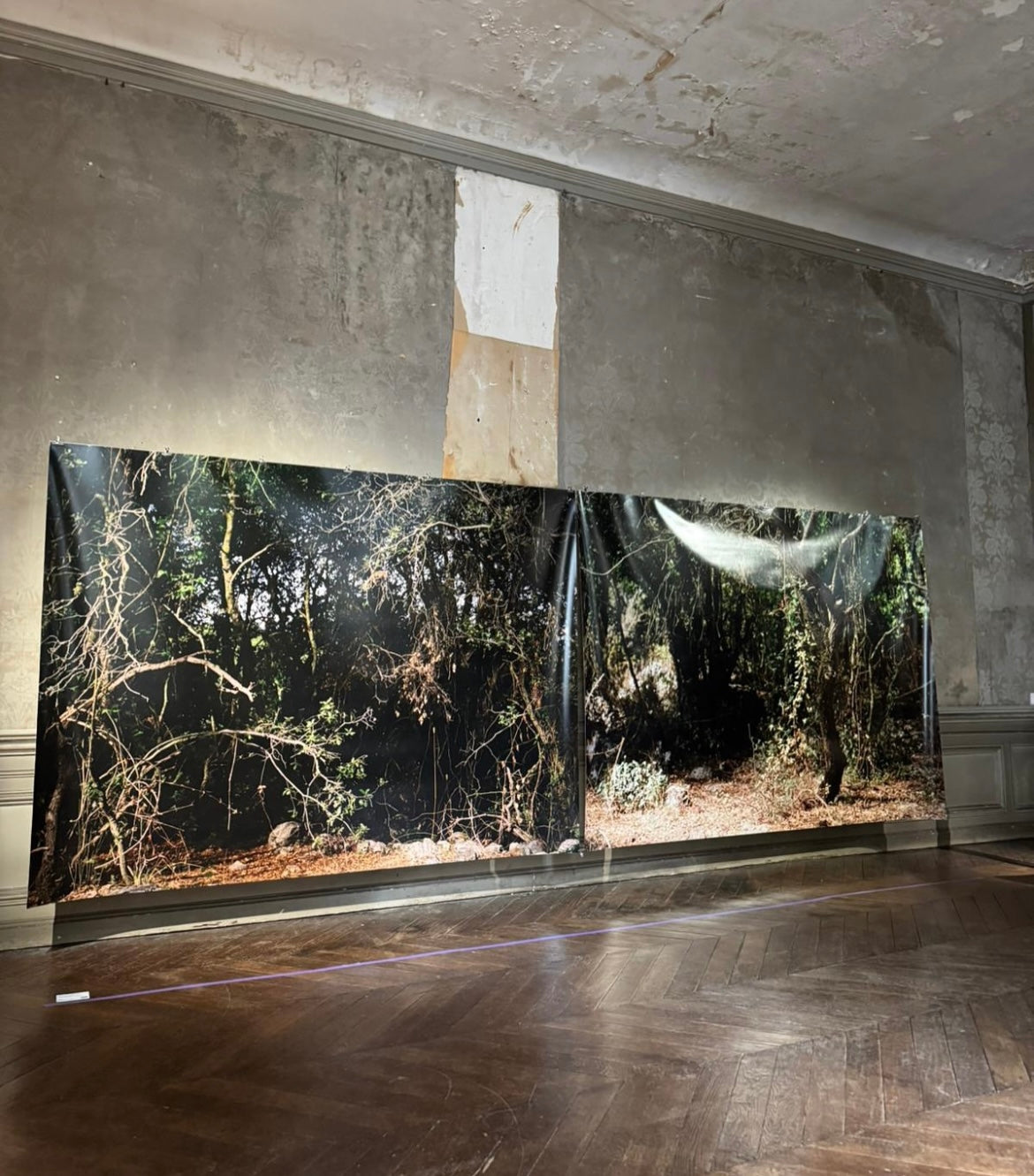 PHOTOGRAPHY - SILVA ANTRUM BY RAFAEL HERMAN