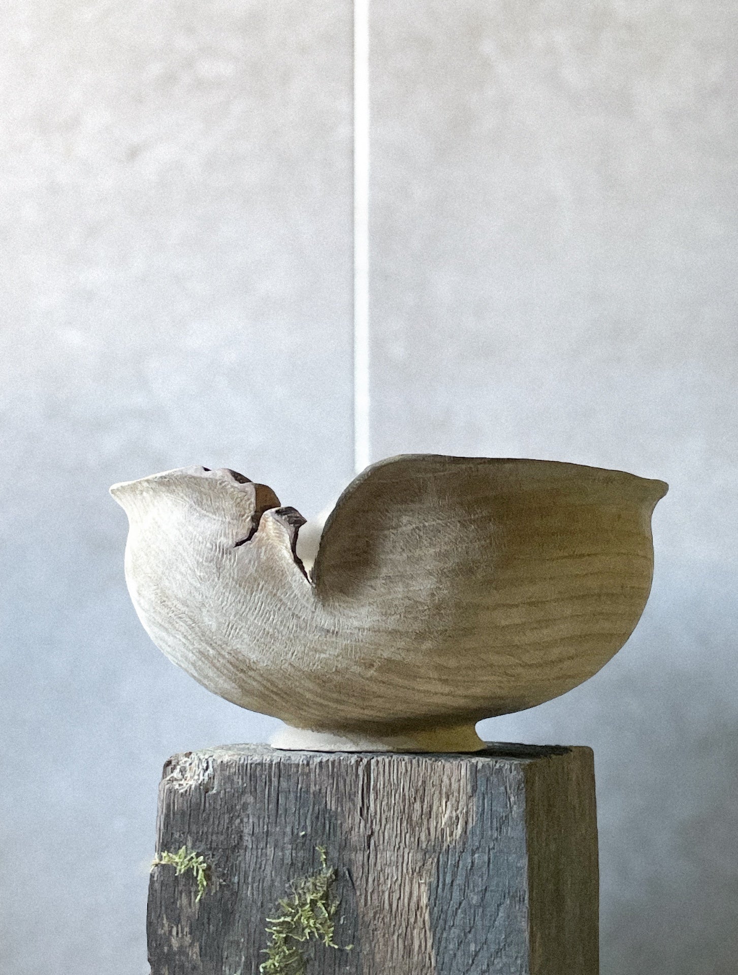 2 BOLS - STONE BOWL #1- STUDIO TORBINA