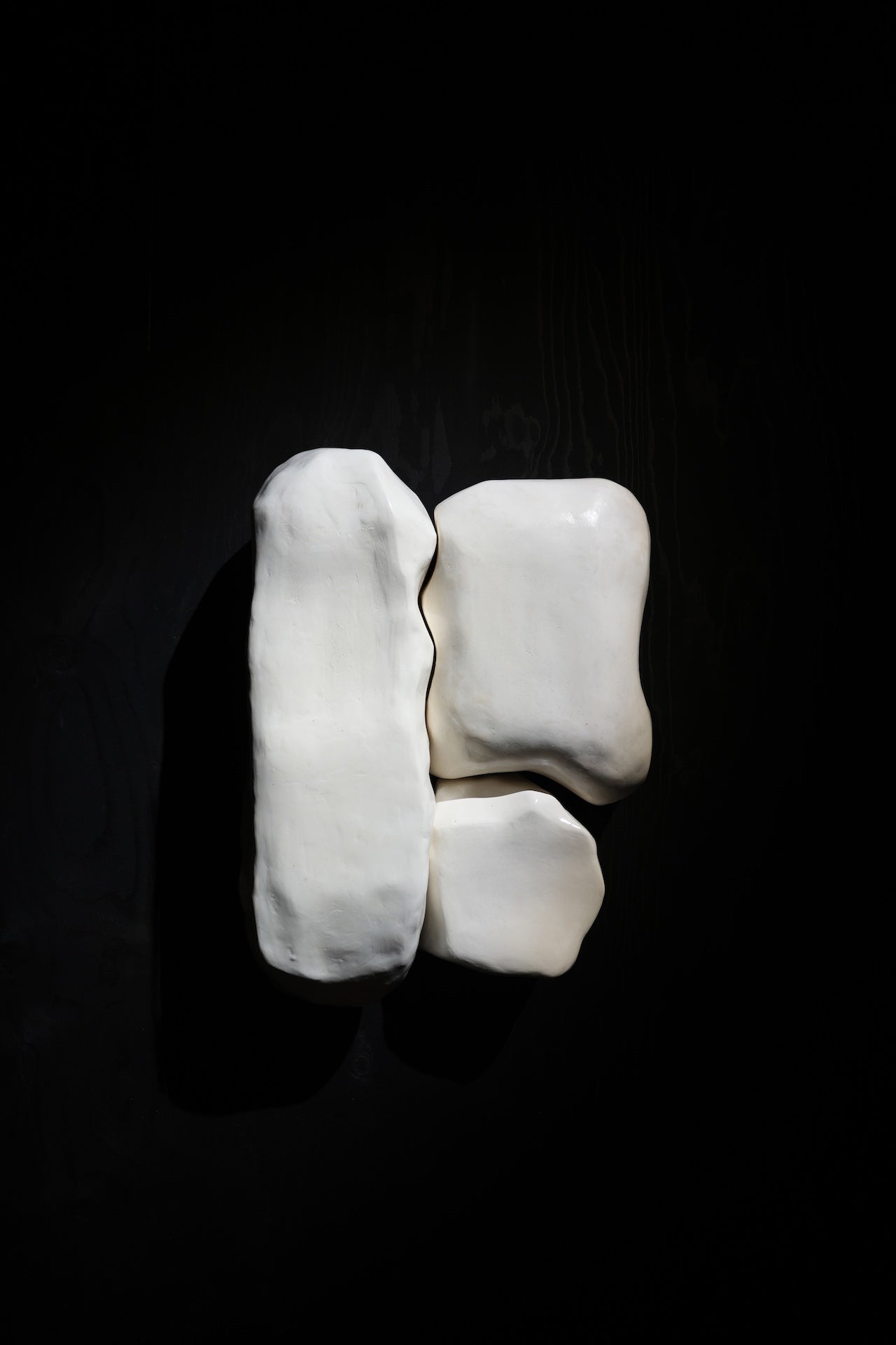 FORME VIVANTE - BLANCHE MURALE - WALL PIECE