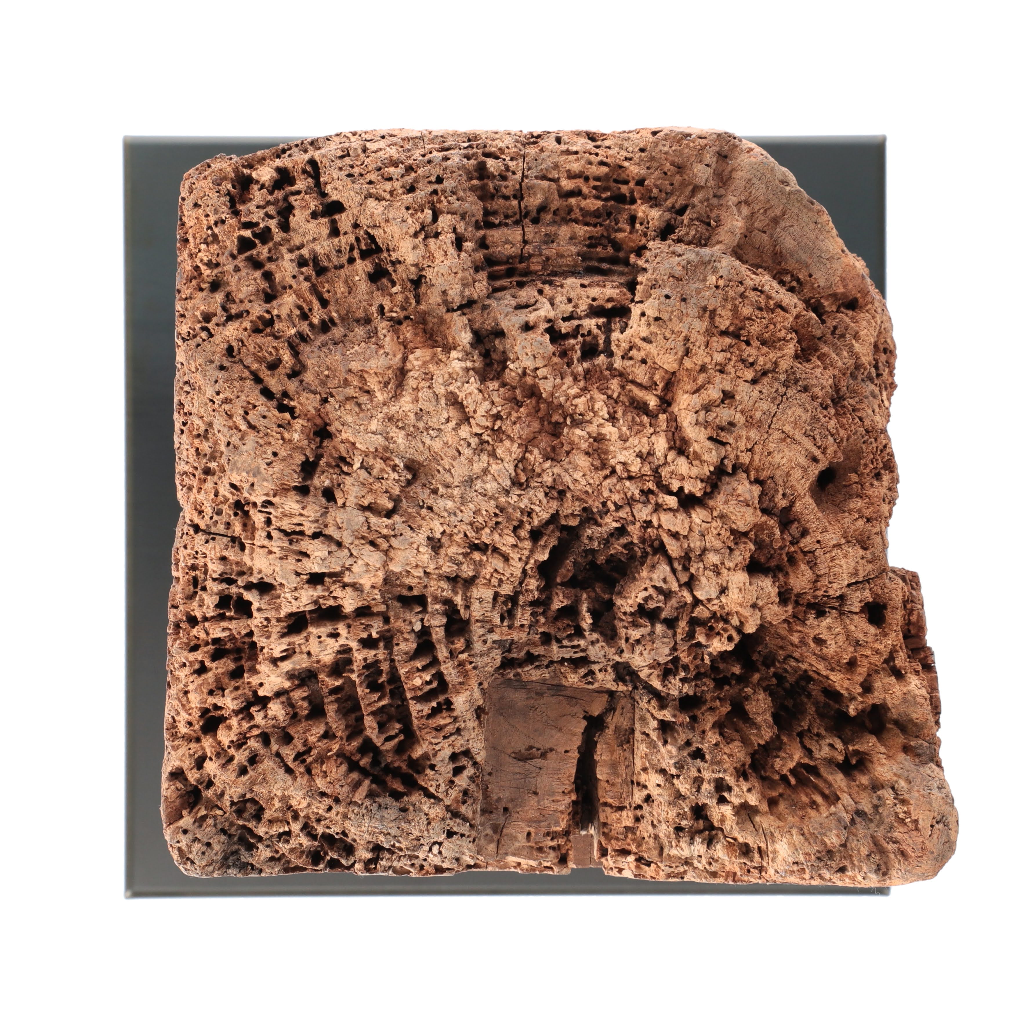 KOBOKU SCULPTURE - KS_L030C