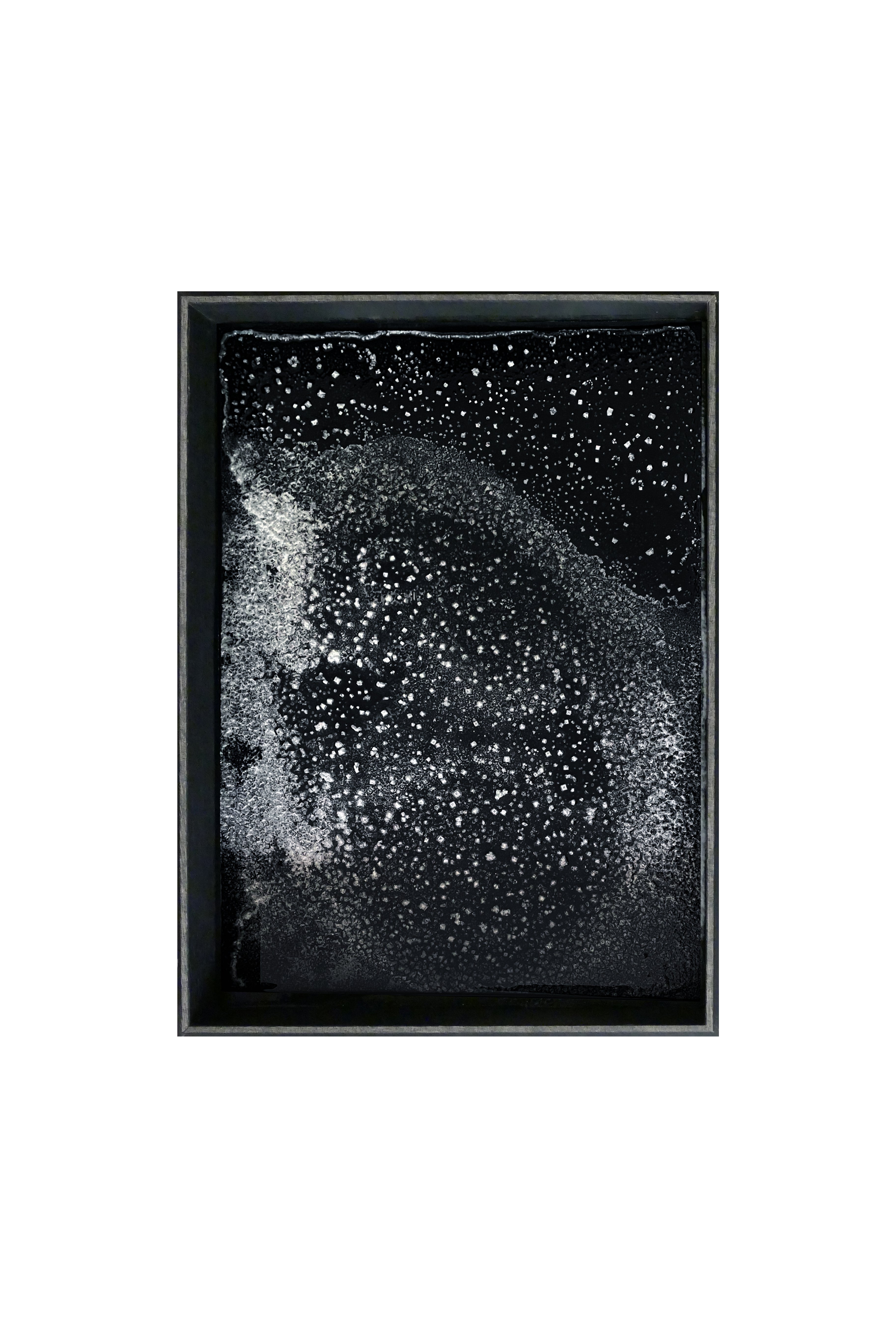 NaCl - JARDINS SALANTS - 002 -  PAINTING