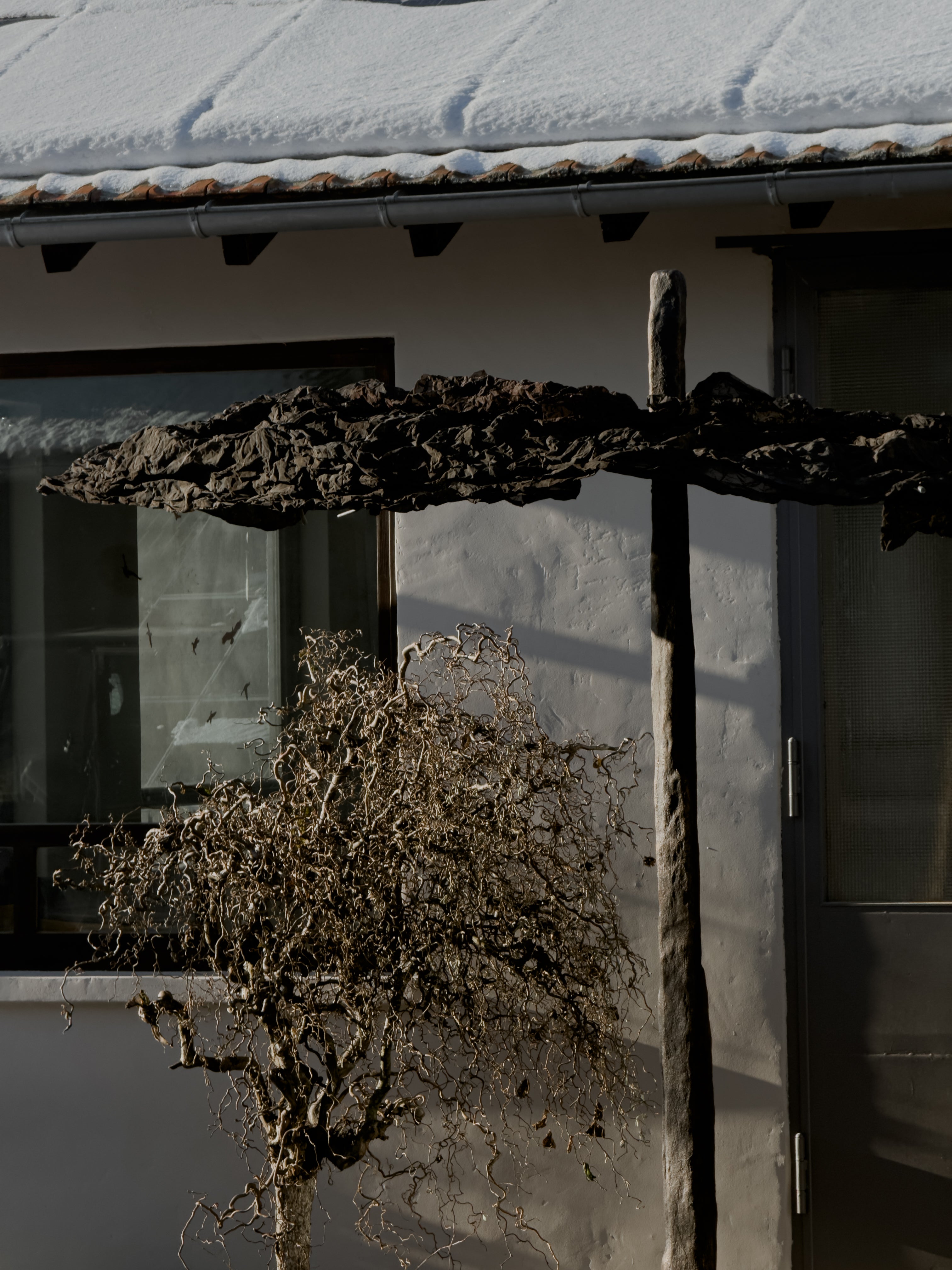 EDITION 25 - PARASOL