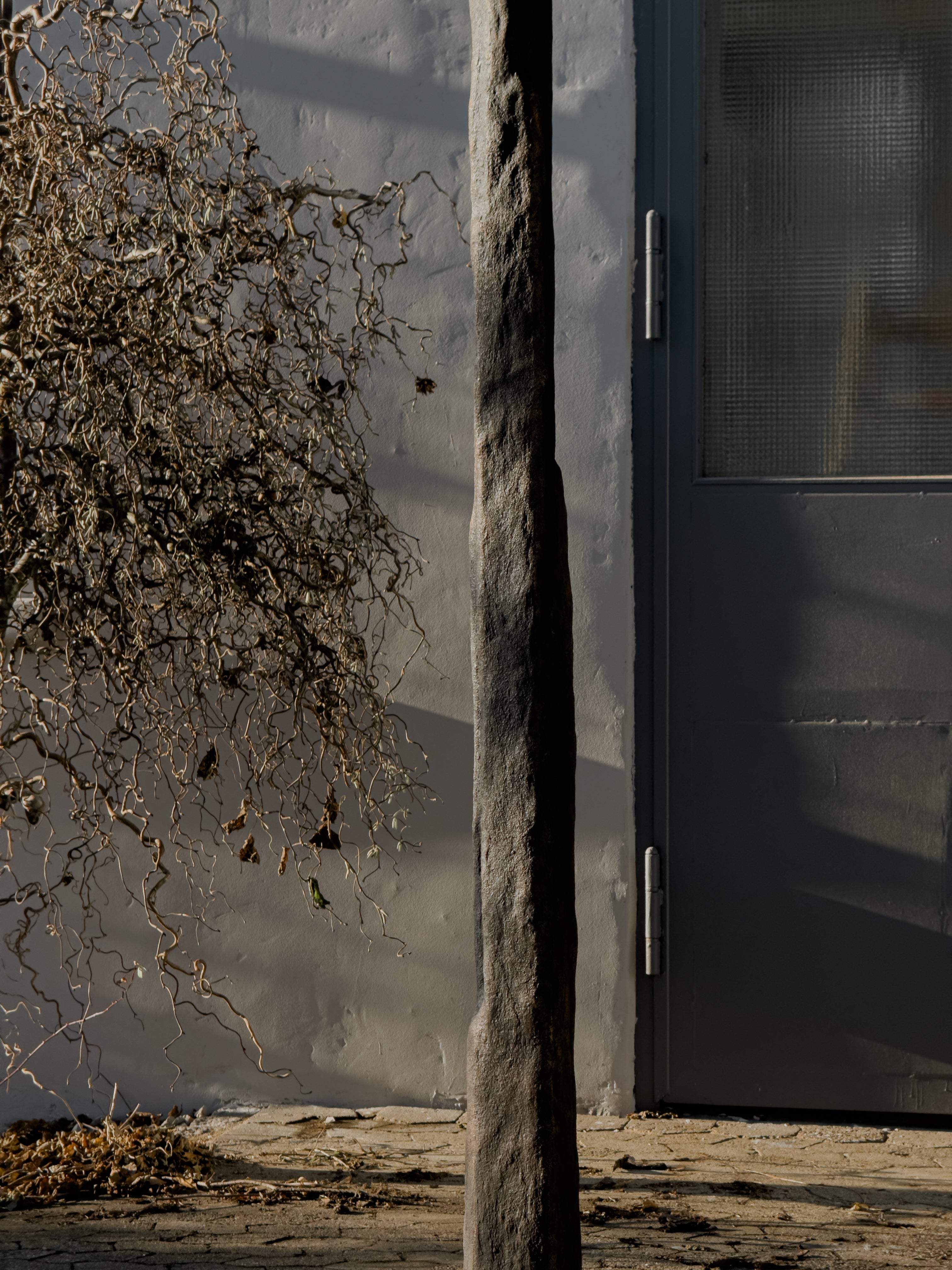 EDITION 25 - PARASOL